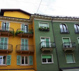 Dezente Farbenpracht