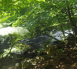 Schöner Flusslauf