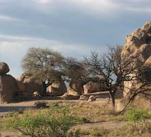 City of Rocks State Park in New Mexico