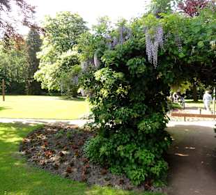 Spaziergang durch den Kurpark
