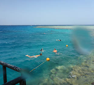 Schnorcheln Makadi Bay