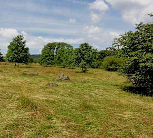 Impressionen aus dem Naturschutzgebiet