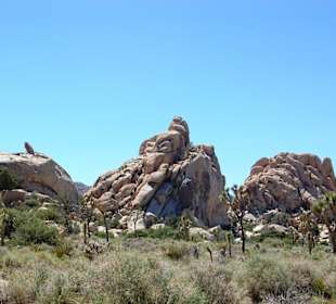 Joshua Tree Nationalpark