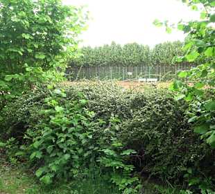 Tennisanlage Loßburg