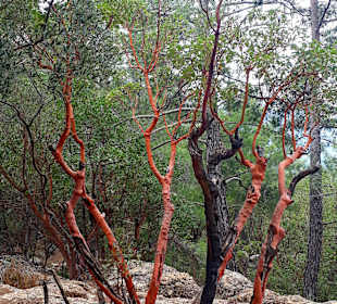Köprülü Canyon Nationalpark