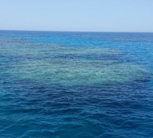 Schnorchelausflüge-Marsa Alam mit Morgenland 