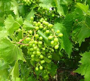 Impressionen aus dem Park der Gärten