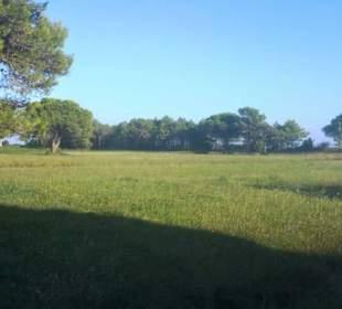 Der hintere Bereich mit Feldanbau