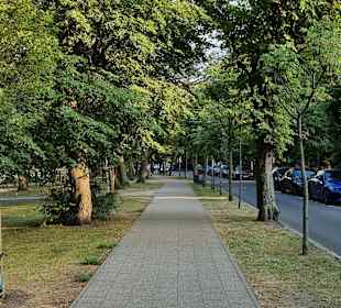 Stadtrundgang Sopot/Zoppot