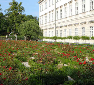 Der Blick in den Rosengarten