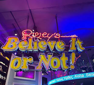 Museum Ripley's Believe It or Not!