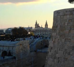 Saint John's Cavalier