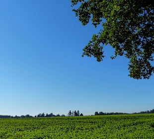 Weitblick bei Traumwetter 