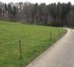 Vulkankrater-Rundweg Apfelstetten