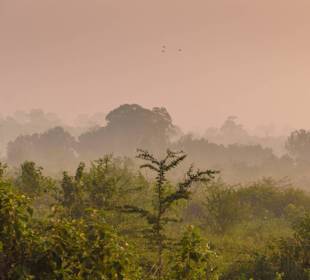 Udawalawe Nationalpark