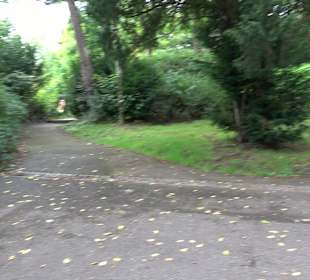 Aussichtspunkt Hasenberganlage