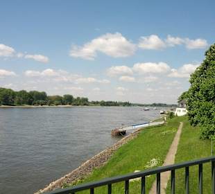 Rhein