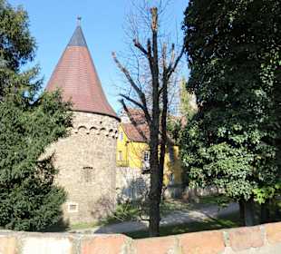 Halle Stadtrundfahrt - Rundfahrt mit historischer Strassenba
