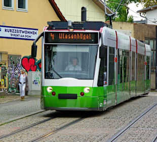 Stadt Erfurt im Bild Sept.2010