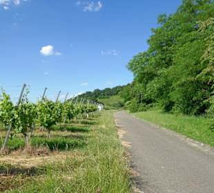 Skulpturenrundweg "Köpfe am Korber Kopf"
