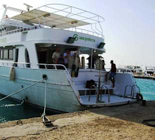 Dolphintour mit Oototo zum Zweiten