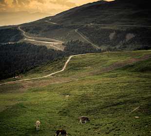 Wandern Bressanone / Brixen