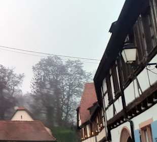 Maison Kobold in Wissembourg