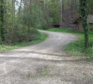 Walderlebnisweg Rottenburg