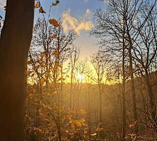 Wandern Bad Sachsa