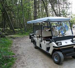 Transport do ruchomych wydm