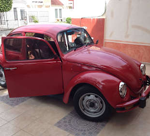 Unser Käfer in Cancun