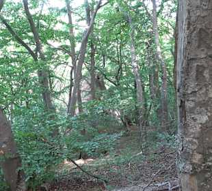 Tour entlang der Traifelbergfelsen
