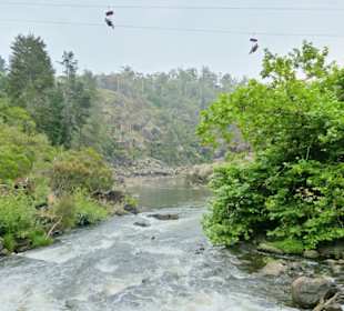 South Esk River - Cataract Gorge
