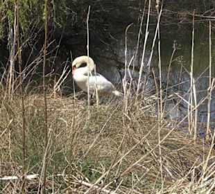 Sport- und Freizeitpark Markwasen