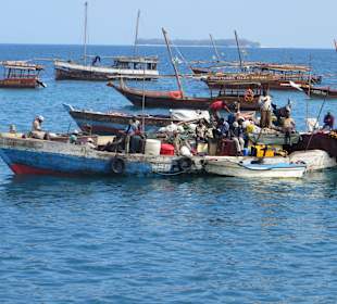 Hier starten die kleinen Boote nach Prison Island