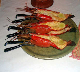 Fangfrisch auf den Tisch