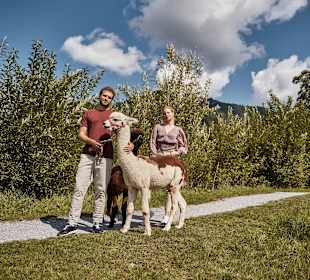 Wandern Werfenweng