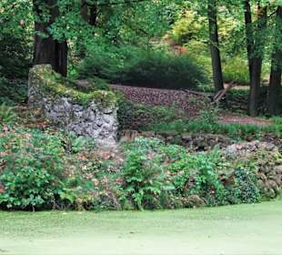 Rundgang durch Knoops Park im Herbst