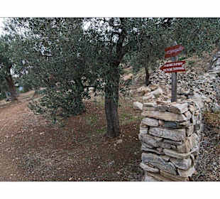 Berg Athos - "Holidays and more"