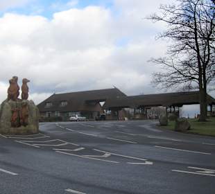 Knowsley Safari Park