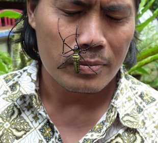 Dana mit einer Spinne im Gesicht