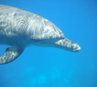 Even jou bezichtigen!