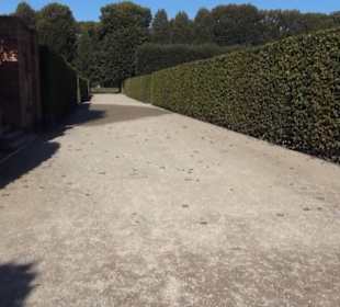 Aussichtsterrasse