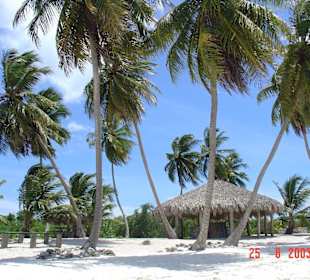 Isla Saona