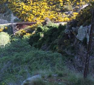 Mitder Taileri Railway durch die Natur Neuseelands