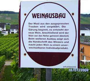 Weinlehrpfad