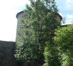 Unterwegs in der Ruine von Burg Neuhaus