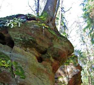 Der Bitterbach im Pegnitztal bei Nürnberg