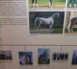 Gestütsmuseum Offenhausen