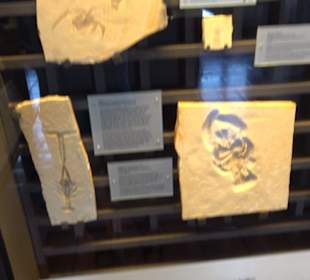 Jura-Museum